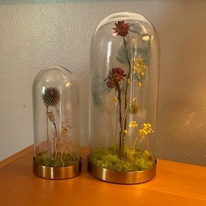 Anthropologie Curiosity Cloche flowers rosy rings set of 2